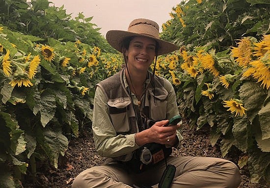 Lauren Ponisio in sunflower field