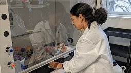 Nayantara Arora, a Clark Honors College senior, working in a lab