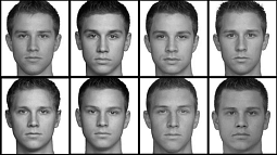 Gallery of faces used in study
