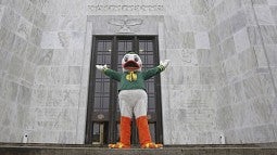 The Duck at the Capitol