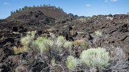Lava rock in Central Oregon