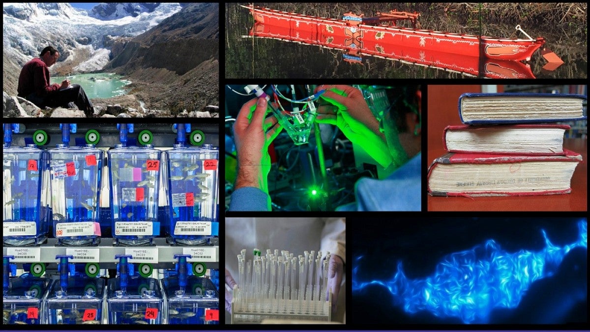 Collage of research images