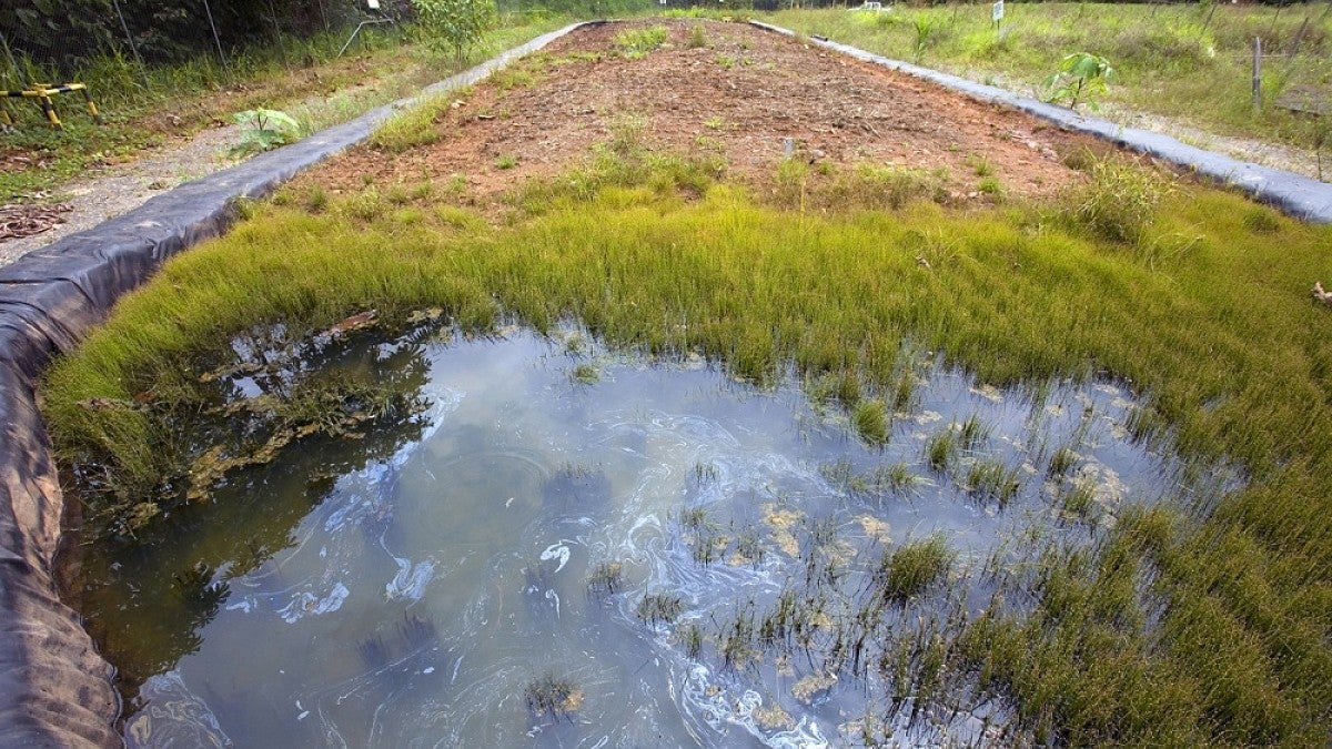 Oily water at remediation site