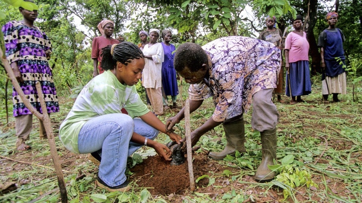 A Peace Corps volunteer working on an agricultural project in Africa.
