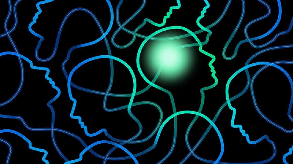 Stock image portrays a connected network of people with an individual brain illuminated as a symbol for sociology and group interaction