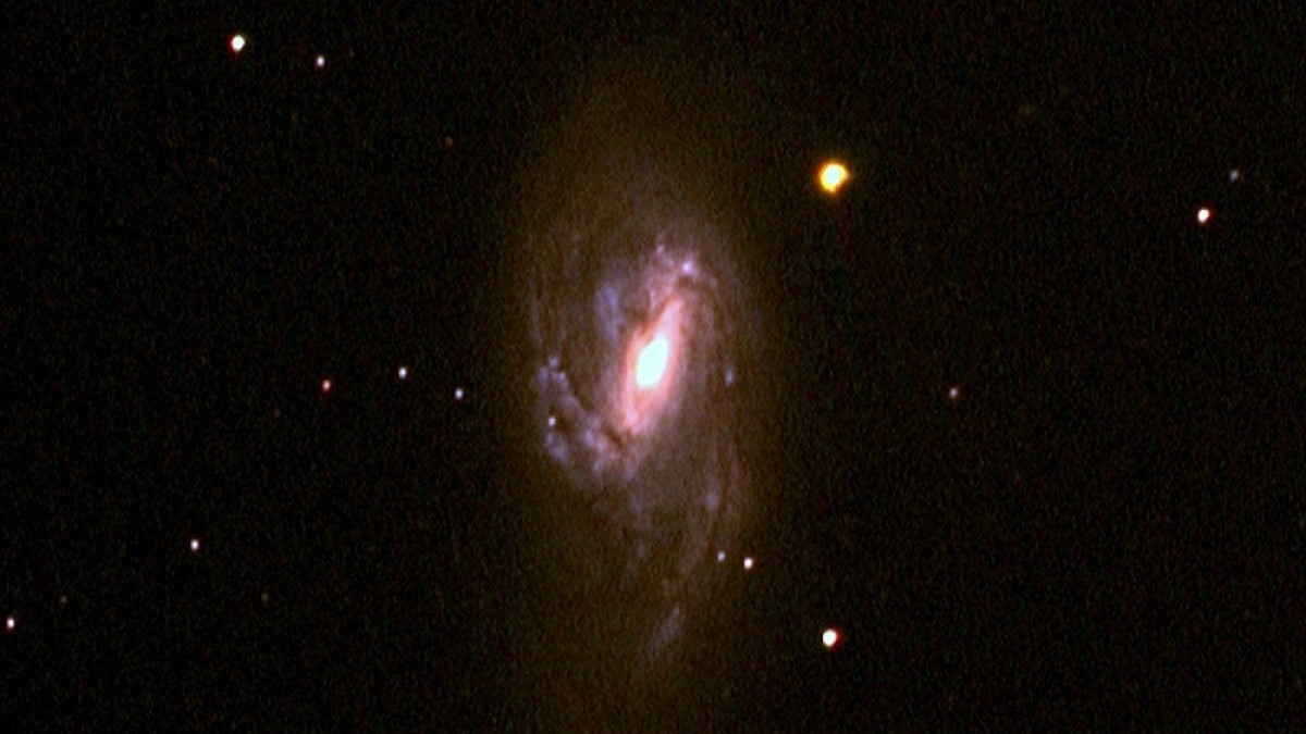 Image of the supernova taken with a telescope at Pine Mountain Observatory