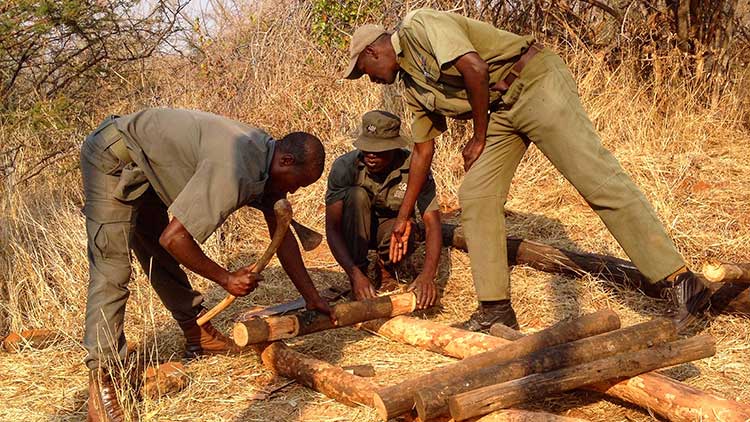 Members of the IAPF chopping logs to build the lookout tower