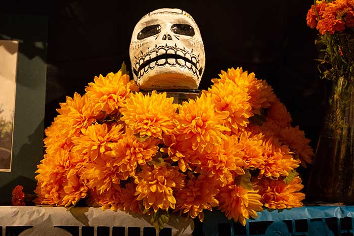 A skull and flowers