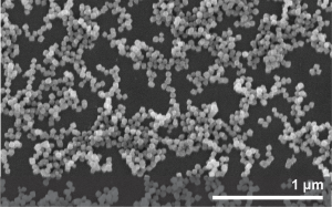 Nanocrystals viewed through a scanning electron microscpe