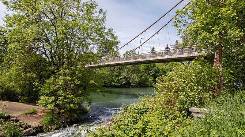 A bridge over the Willamette River near Alton Baker Park