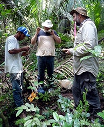 Brendan Bohannan (right) during sampling in Brazil's Amazon rainforests
