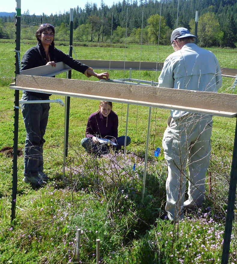 Testing plants under projected climate conditions