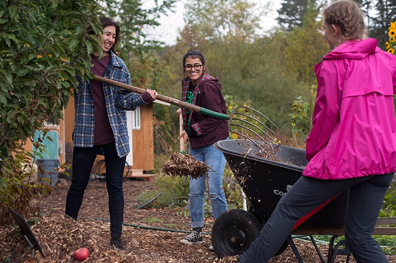 Students raking leaves into a wheelbarrow