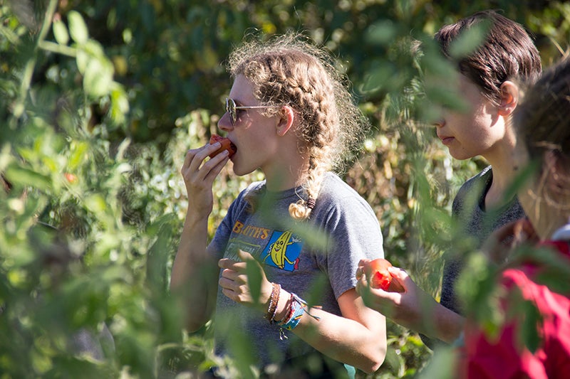 A student eating a fresh tomato