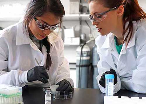 Knight Campus Undergraduate Scholar Michelle Hernandez with her mentor, Kelly Hyland, working in a lab