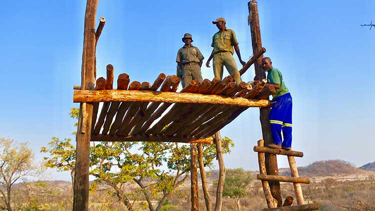 Building the lookout tower in Zimbabwe
