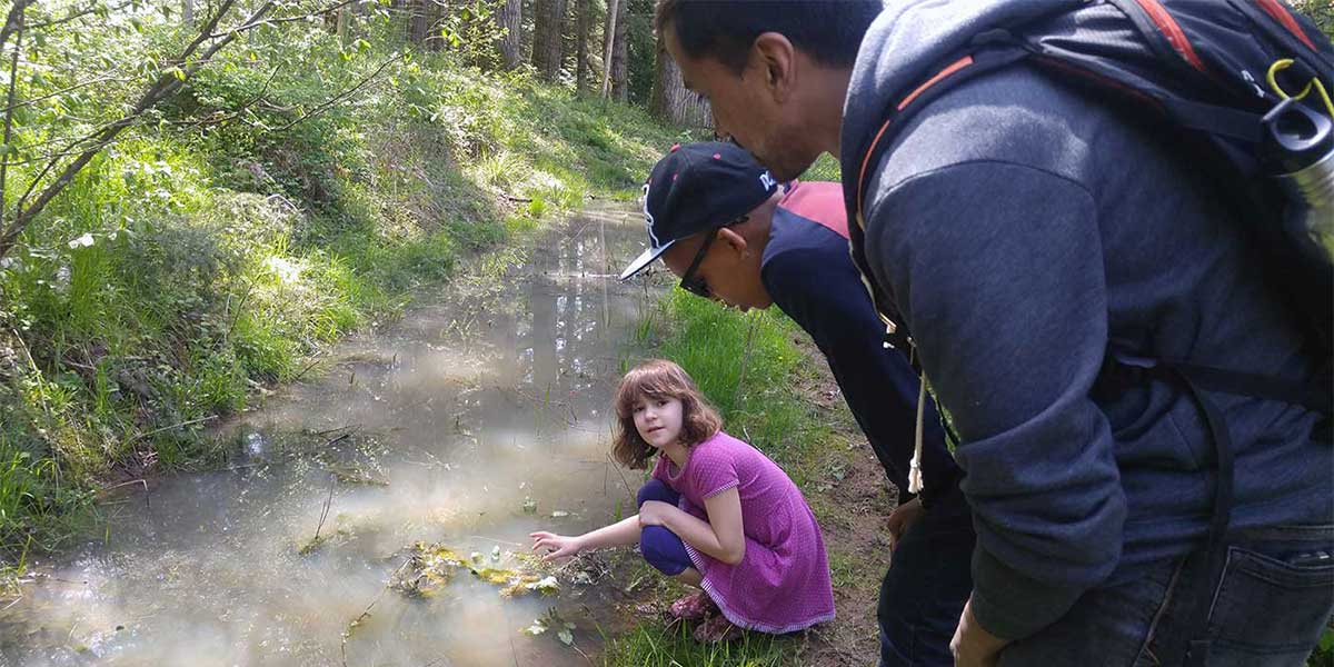 Students from Creston Elementary School look for newts in a creek