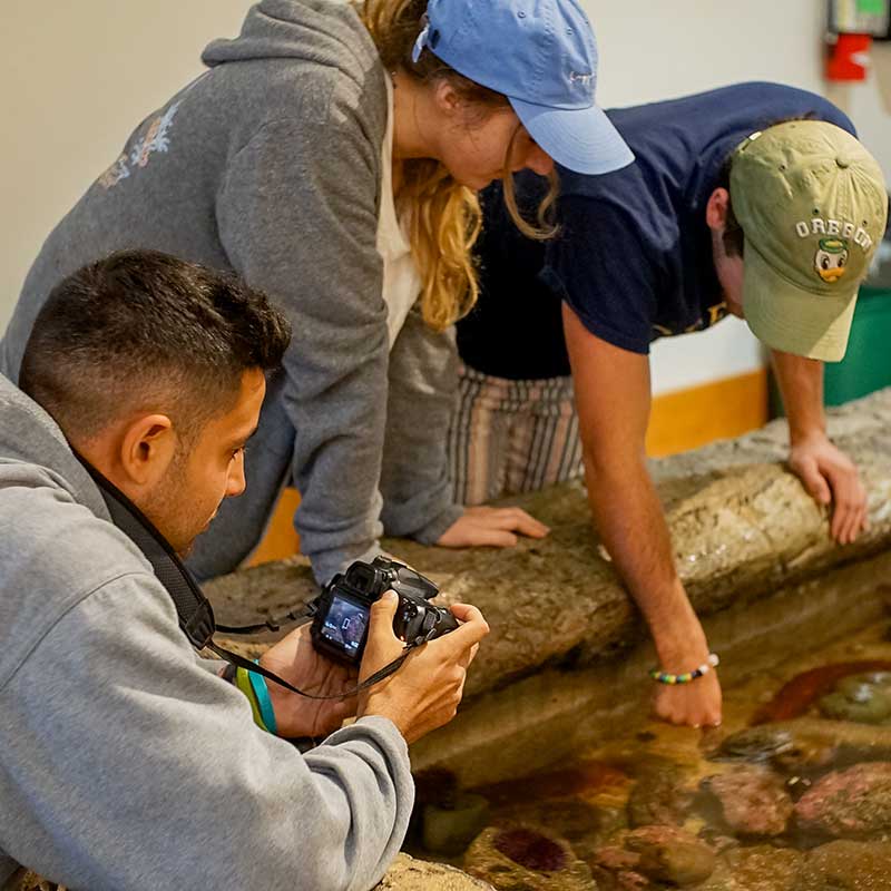 In summer 2017, Science &amp; Memory took students to the Oregon coast, where they visited the Oregon Institute of Marine Biology to learn about the effects of the area’s changing climate on flora and fauna. 