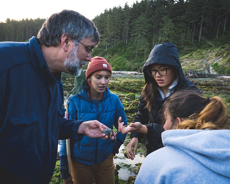 Bearded professor examines tidepool discoveries with three students.
