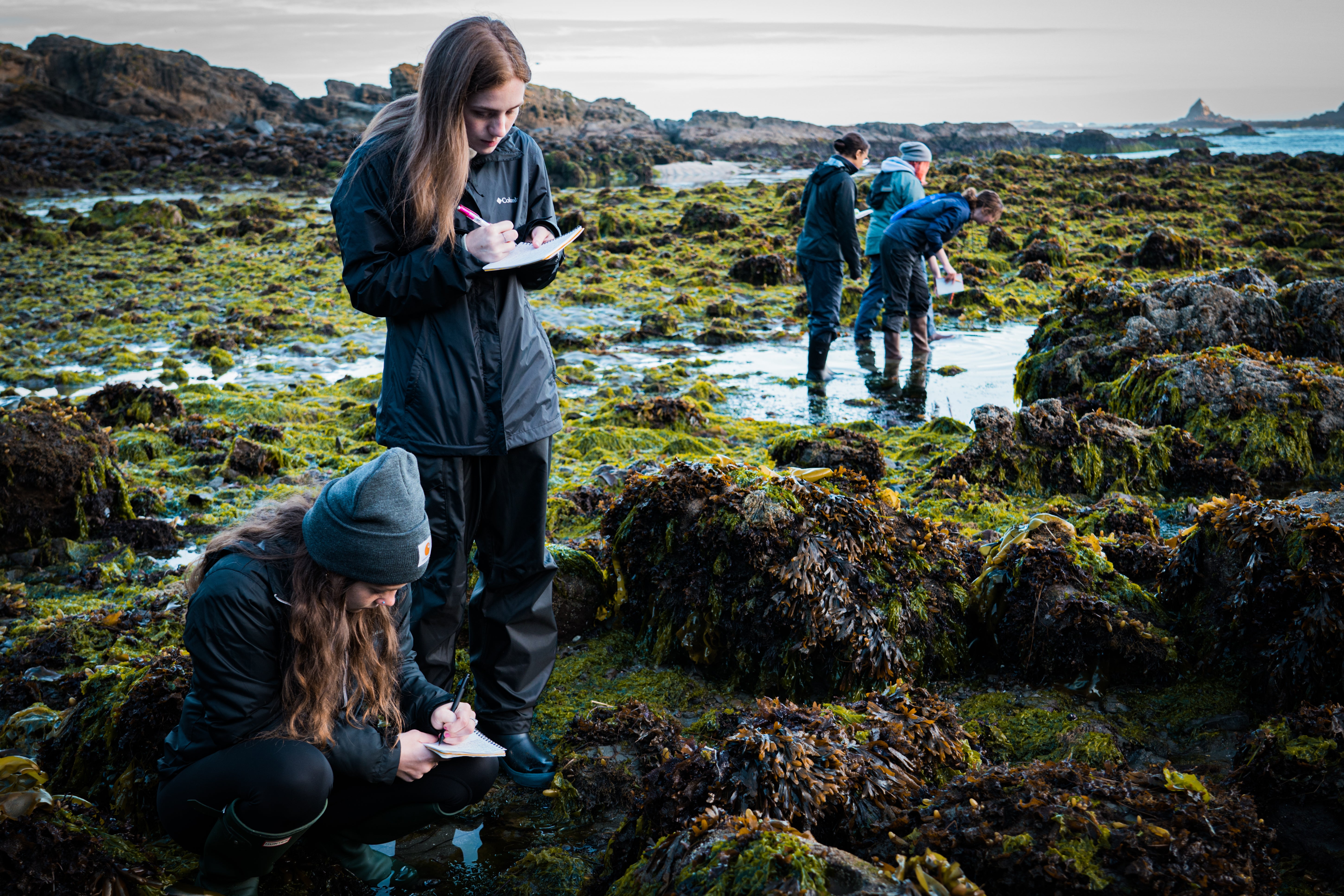 Maddy Rusk and Katie Richardson, both seniors in the marine biology program, take notes to catalogue their finds during tidepooling. 