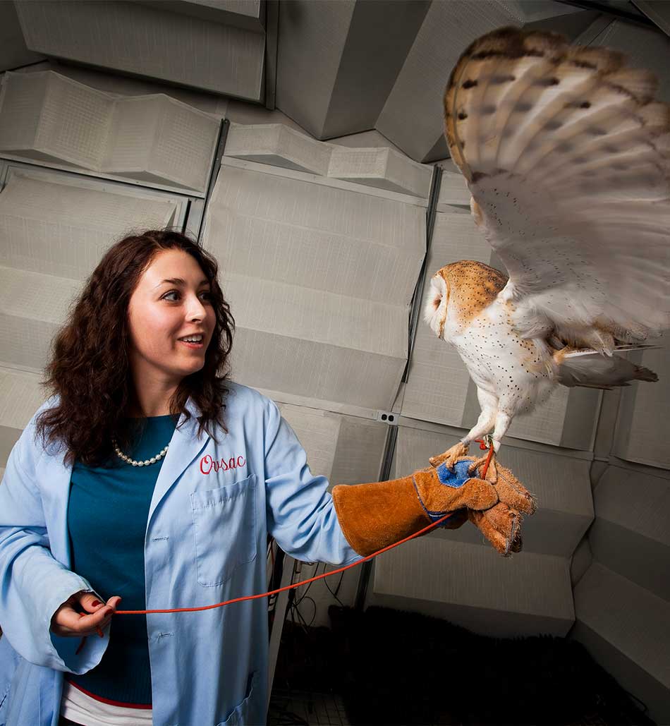A female researching with an owl flapping its wings while perched on her arm