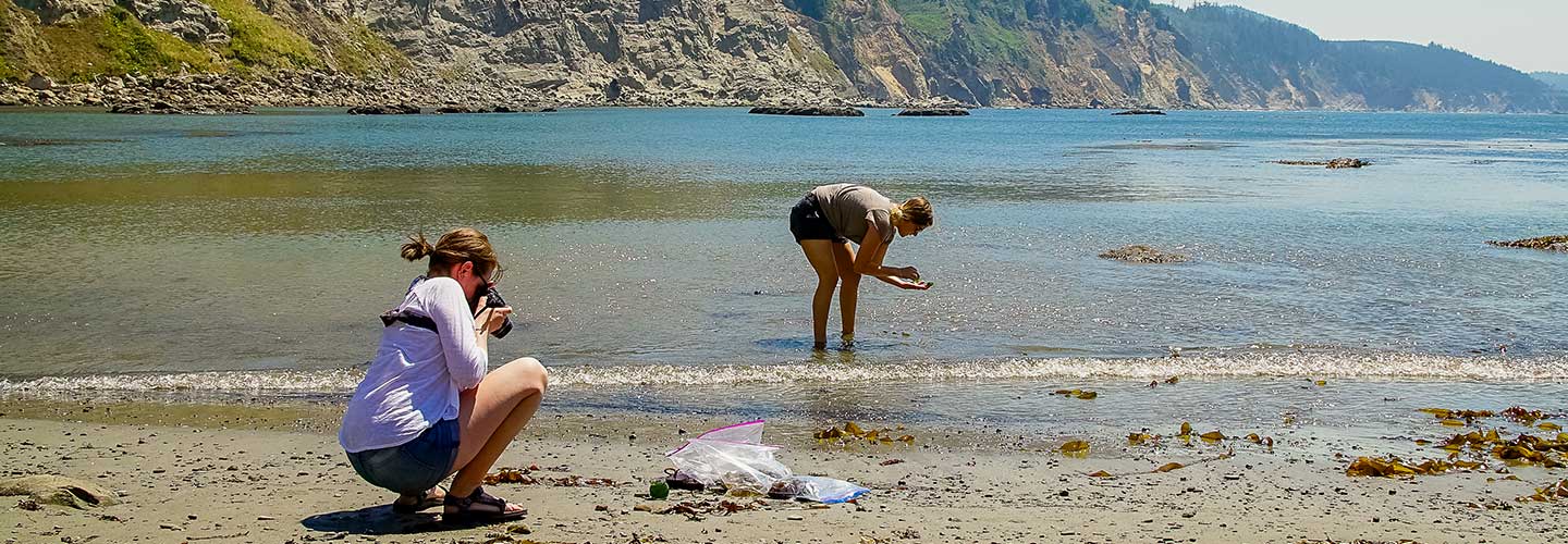 SOJC students document evidence of humans’ impact on Oregon’s coastal ecosystem. 
