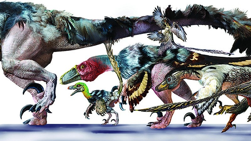 Artist conception of avian dinosaurs