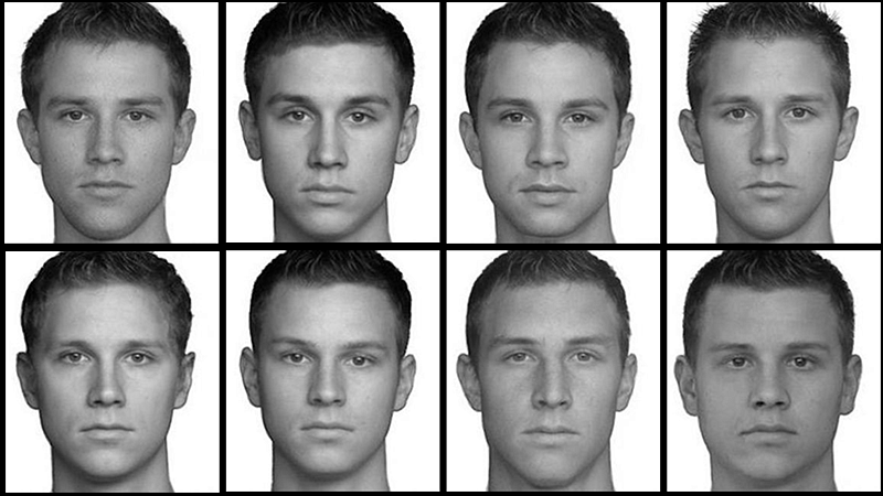 Gallery of faces used in study