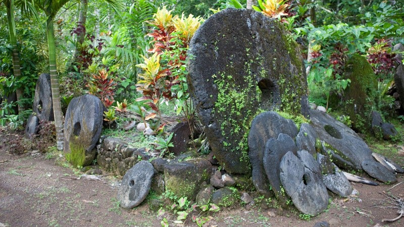 Stone money discs on Yap Island
