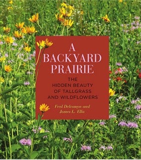A Backyard Prairie: The Hidden Beauty of Tallgrass and Wildflowers