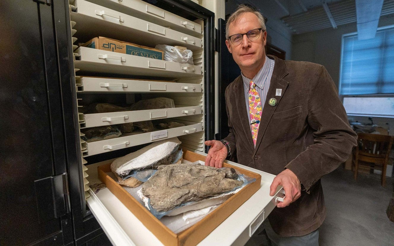 Edward Davis, Associate Professor Condon Fossil Collection Director