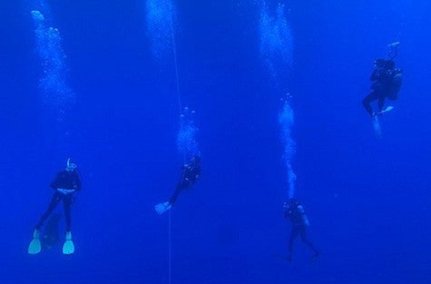 Divers in the ocean