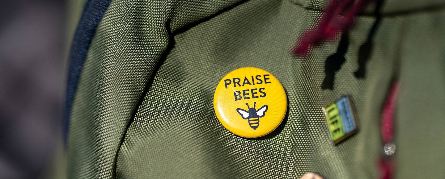 Person wearing a "Save the Bees" button