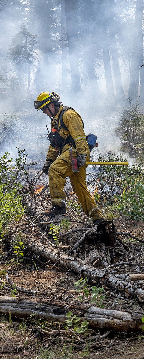 Firefighter working at Oregon's 2020 Bootleg fire