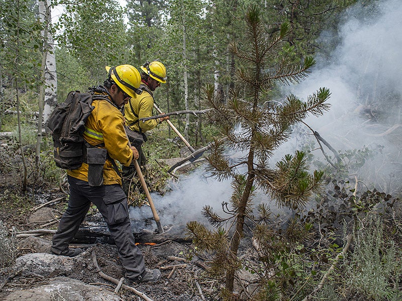 Firefighters working to put out a fire during Oregon's 2020 Bootleg fire