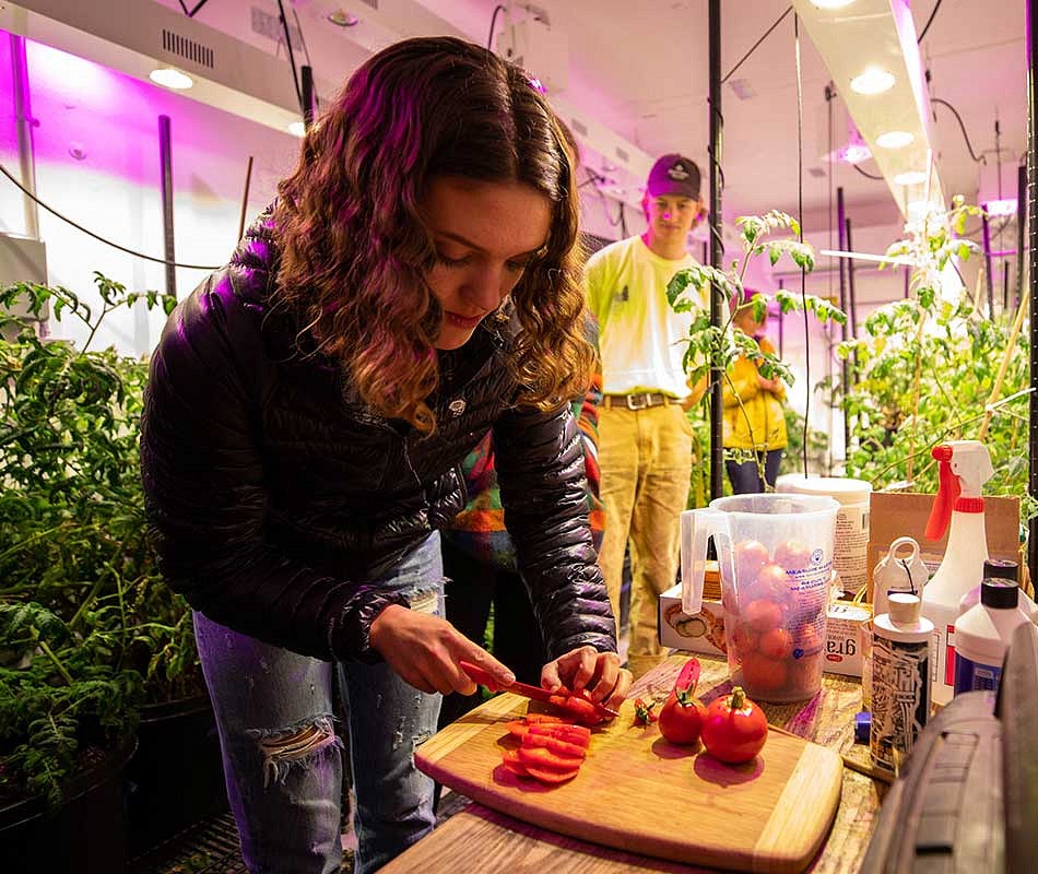 A woman cutting up tomatoes on a cutting board in a greenhouse