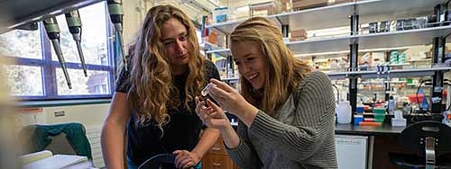 Emily Niebergall working in the lab with her mentor Emily Beck
