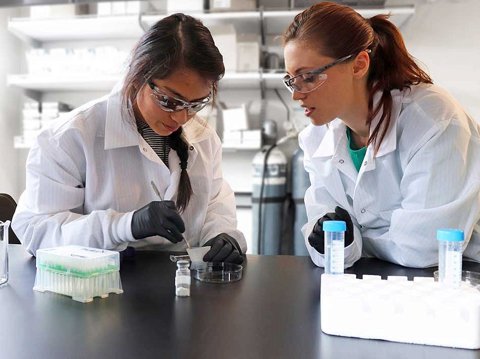 Knight Campus Undergraduate Scholar Michelle Hernandez with her mentor, Kelly Hyland, working in a lab