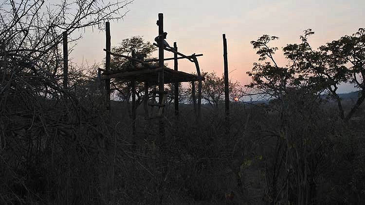 A lookout tower at sunset