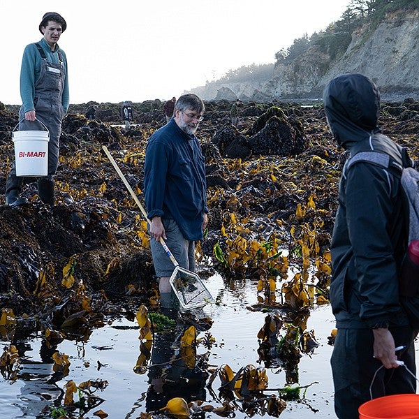 Three men carrying buckets and dip-nets explore tidepools at the Oregon coast.