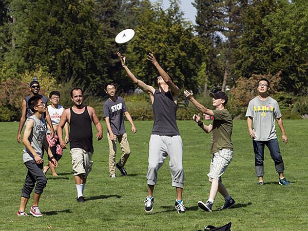 Students playing frisbee on a lawn