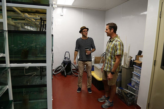 Steve Perry in the zebrafish lab