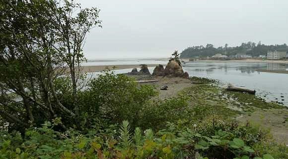 Siletz River estuary, just south of Lincoln City (Mo's Chowder House is in the distance in the upper right). Photograph by Michael Strelow