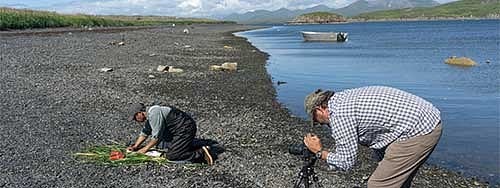 Mark Blaine films Sven Haakanson as he fillets a salmon for the documentary series A Kayak to Carry Us.
