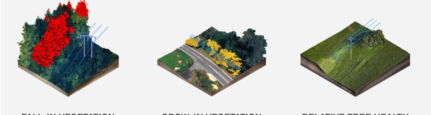 Spatial data vegetation example
