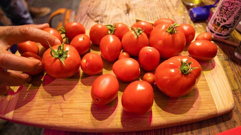Grow Pod tomatoes