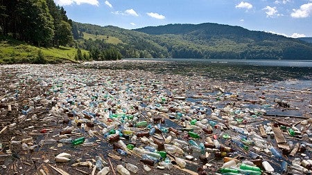 Plastic pollution along lakeshore
