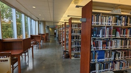 library bookshelves full of books on the right with lines of desks along windows