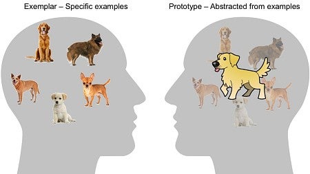 Graphic shows examples of how memories view dogs