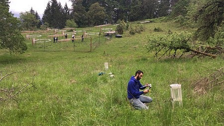 Lucas Silva in the field at one of his three research locations